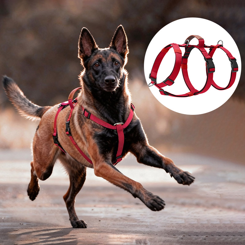 No Pull Dog Harness - Arnês para cães de nylon à