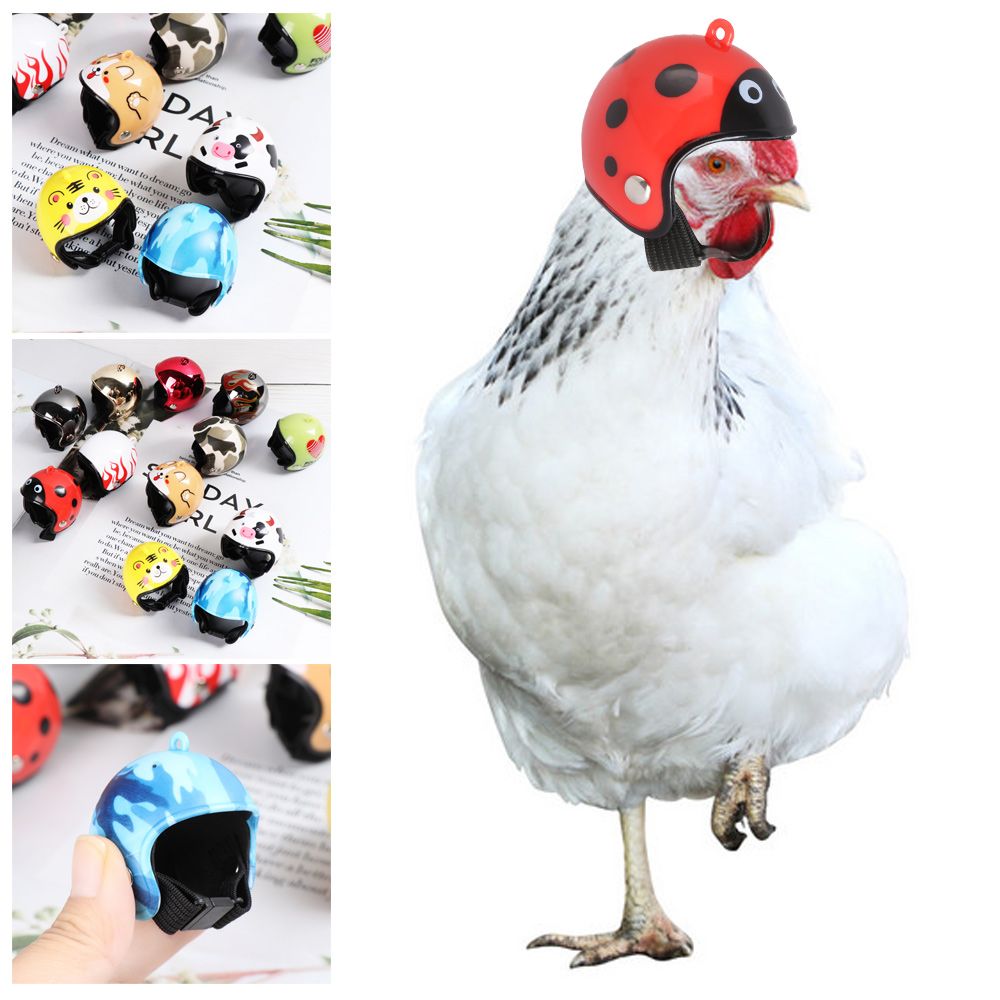 Pet X Supplies & Tack - Capacete Protetor Engraçado para Animais de