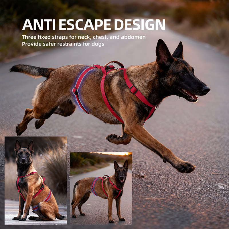 Arnês para cães de nylon à pro - No Pull Dog Harness avaliação e preço