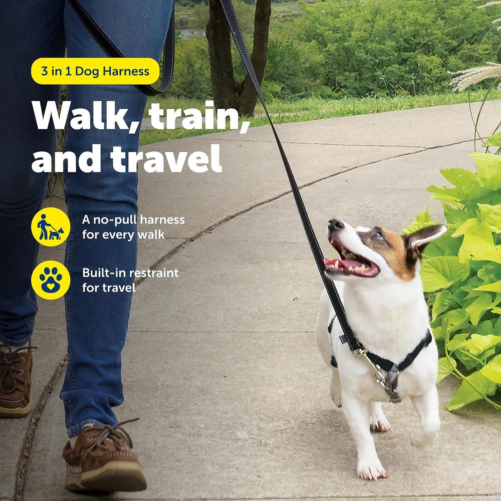 Arnês para Cães 3 em 1 Sem Pux - No Pull Dog Harness avaliação e preço