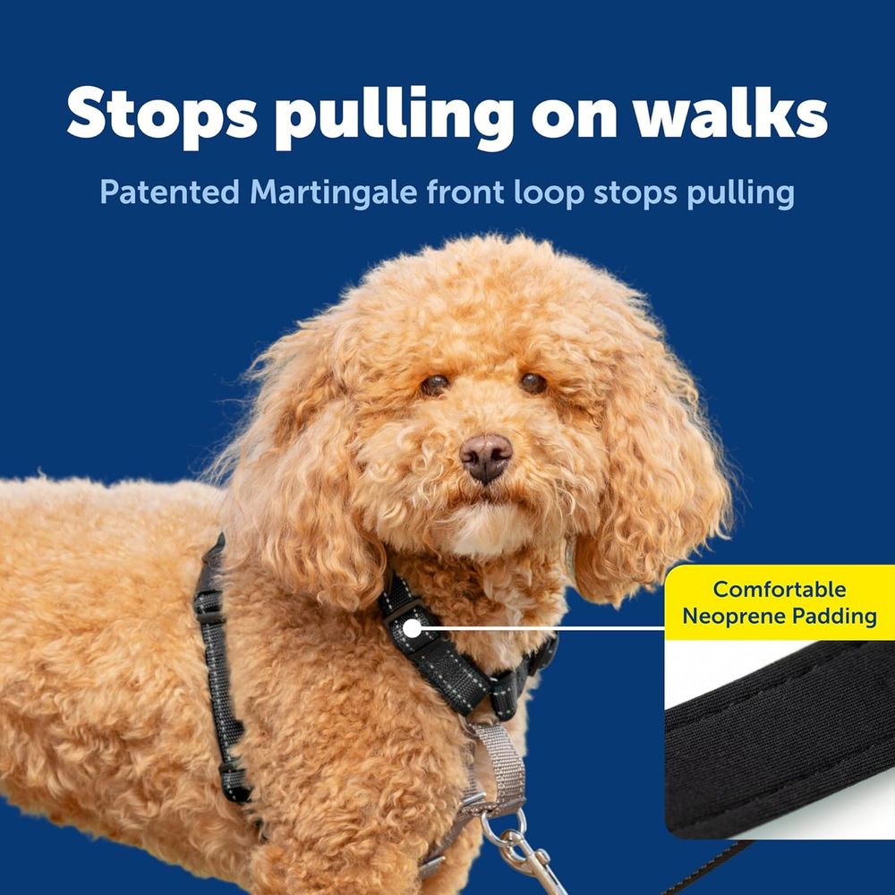 Arnês para Cães 3 em 1 Sem Pux - No Pull Dog Harness avaliação e preço