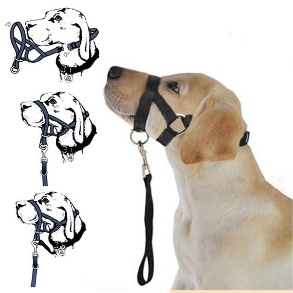 Coleira de Treinamento em Nylo - No Pull Dog Harness avaliação e preço