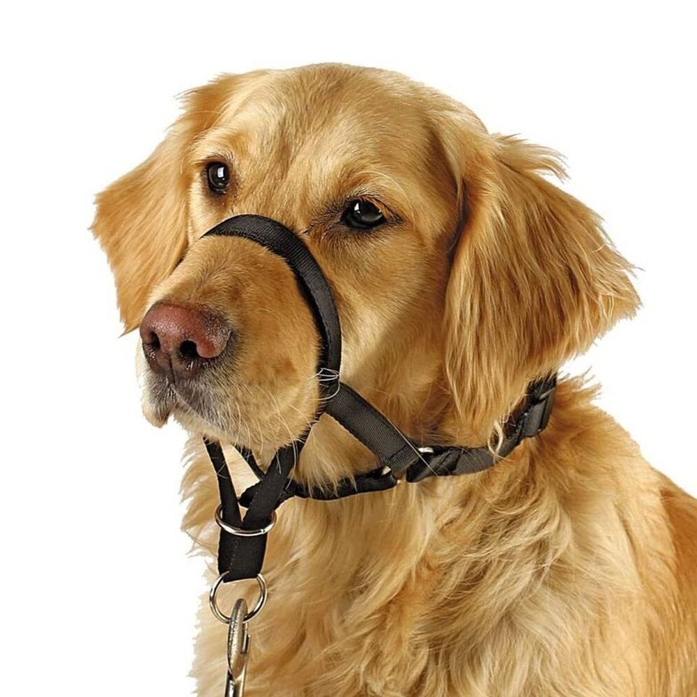 Coleira de Treinamento em Nylo - No Pull Dog Harness avaliação e preço