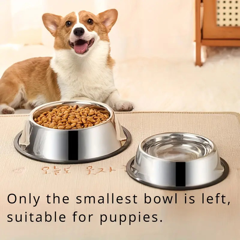 Tigela de aço inoxidável antid - Pet Supplies Dropshipping avaliação e preço