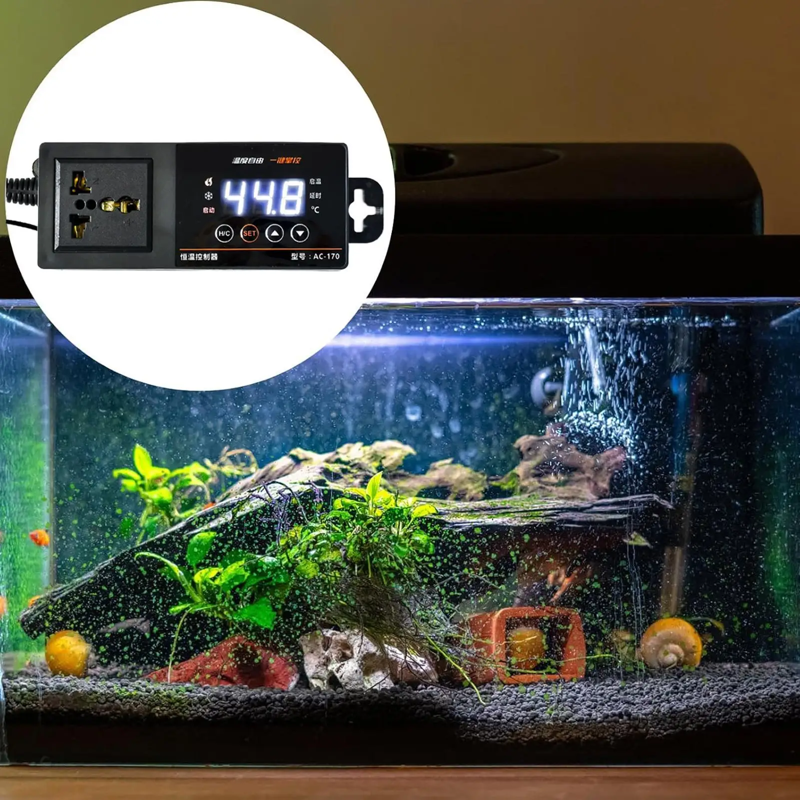 Termostato para tanque de répt - Pet Supplies Uk avaliação e preço