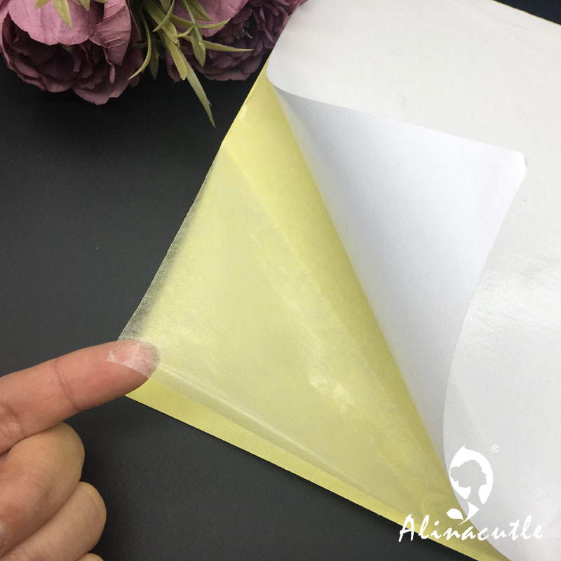 Fita Dupla Face Transparente,  - Pet X Supplies & Tack avaliação e preço