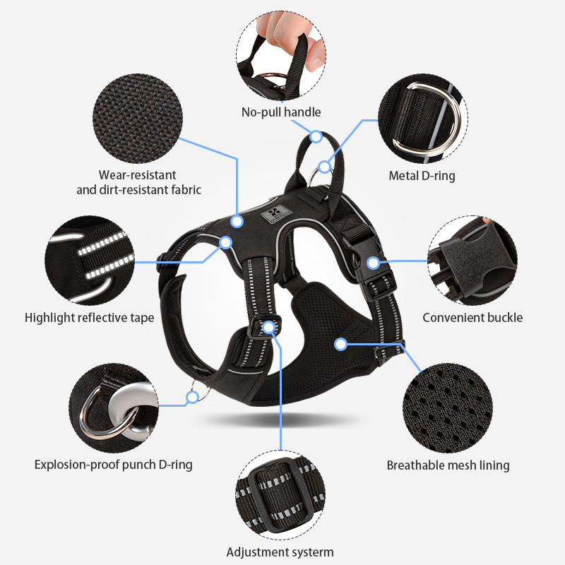 Pequena combinação arnês para  - No Pull Dog Harness avaliação e preço