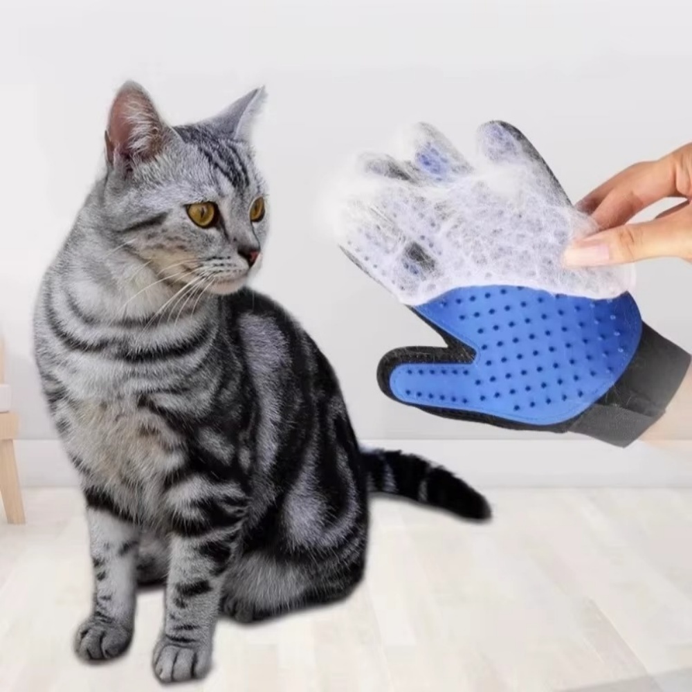 Gato de estimação cão aliciame - Pet Supplies Dropshipping avaliação e preço