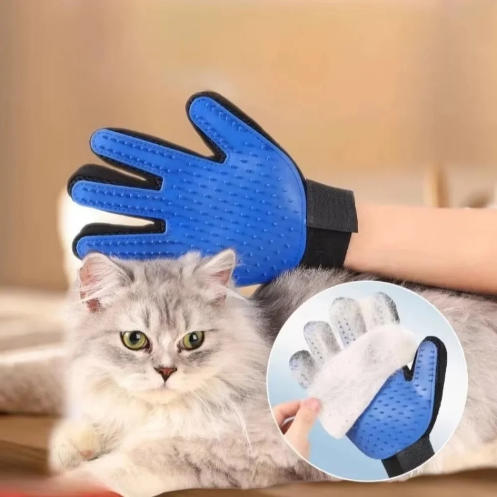 Gato de estimação cão aliciame - Pet Supplies Dropshipping avaliação e preço