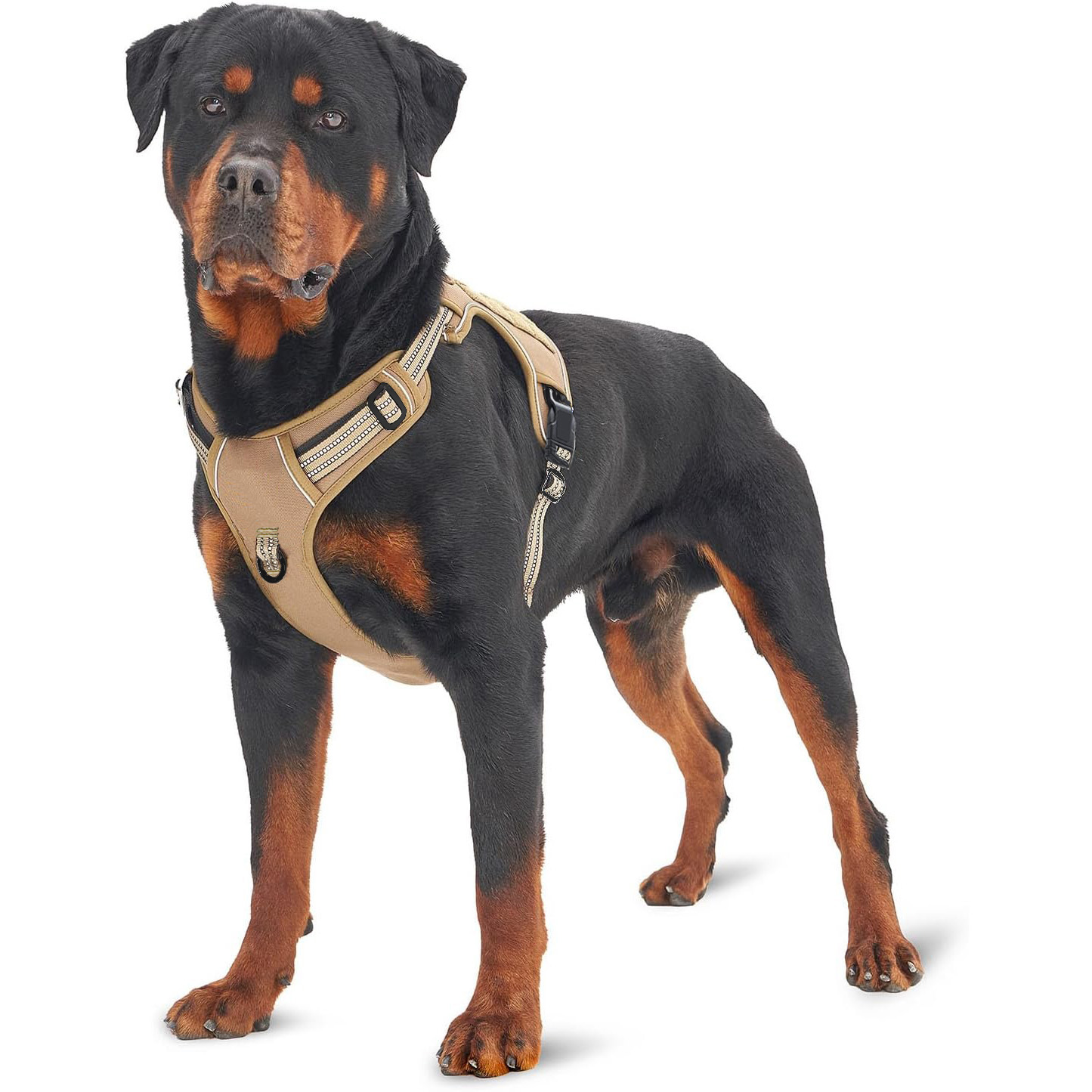 Arnês tático militar para cães - No Pull Dog Harness avaliação e preço