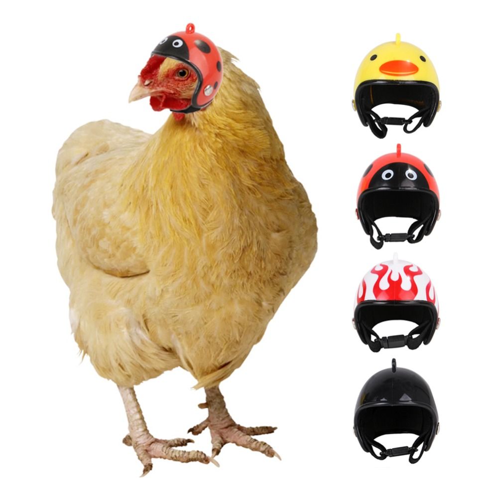 Capacete Protetor Divertido pa - Pet X Supplies & Tack avaliação e preço