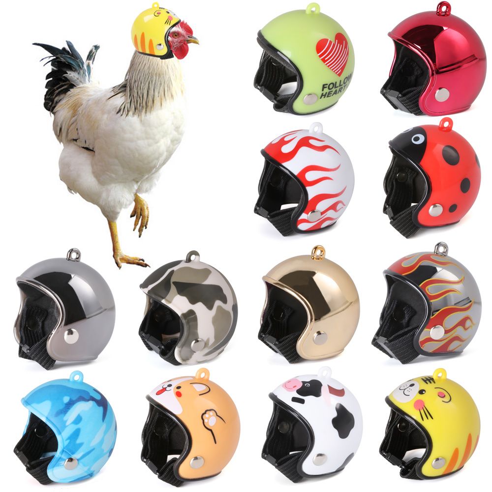 Capacete Protetor Divertido pa - Pet X Supplies & Tack avaliação e preço