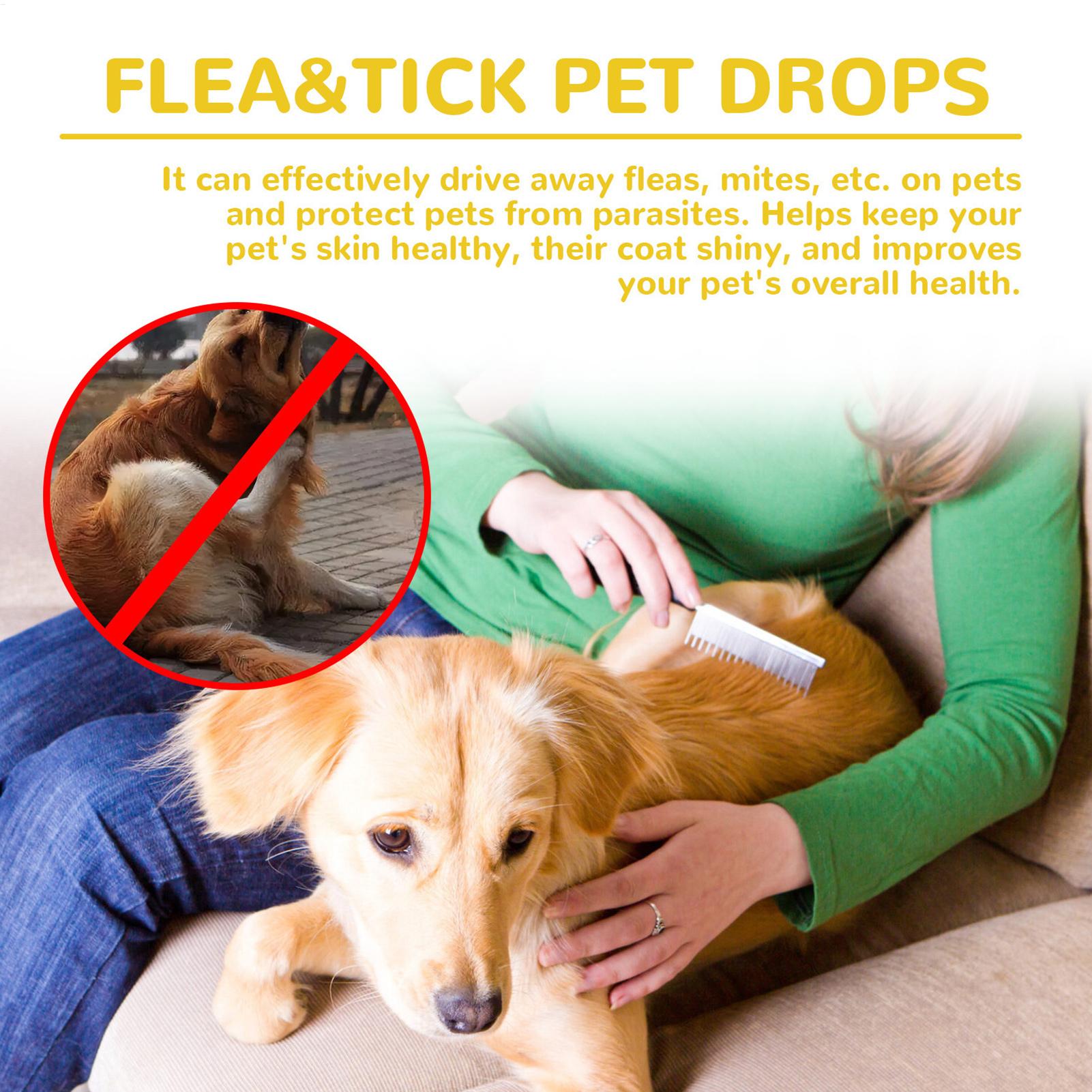 Gotas Antipulgas para Gatos: R - Pet Supplies Dropshipping avaliação e preço