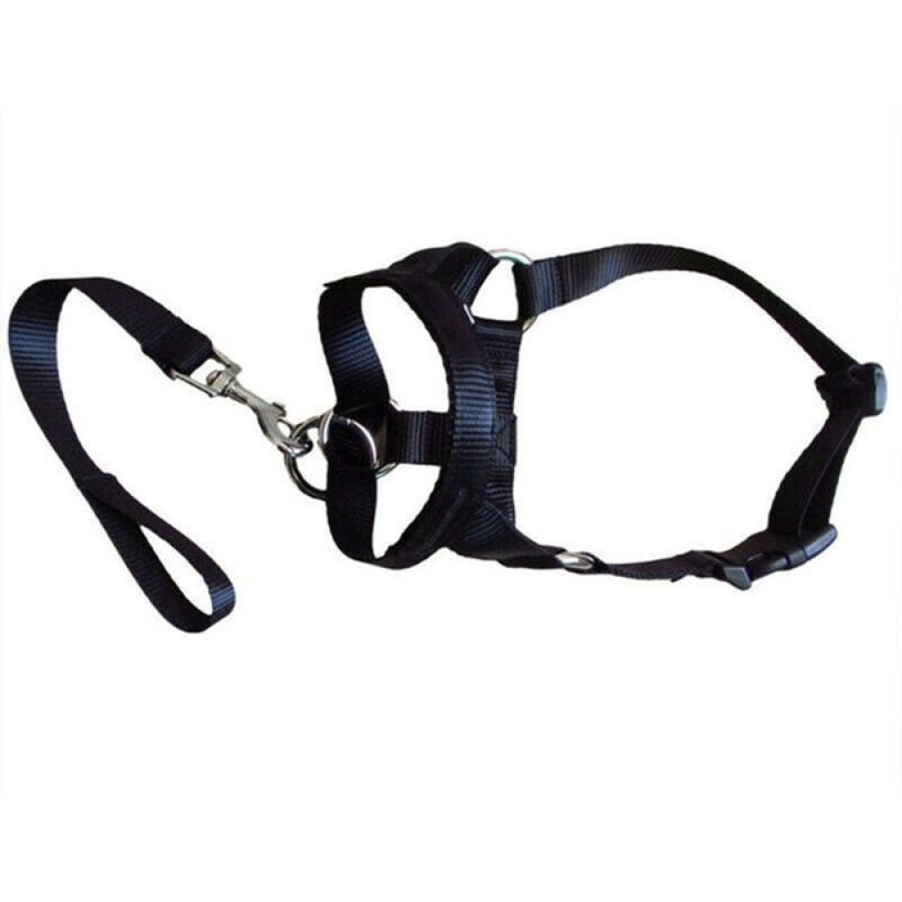 Coleira Respirável para Cães d - No Pull Dog Harness avaliação e preço