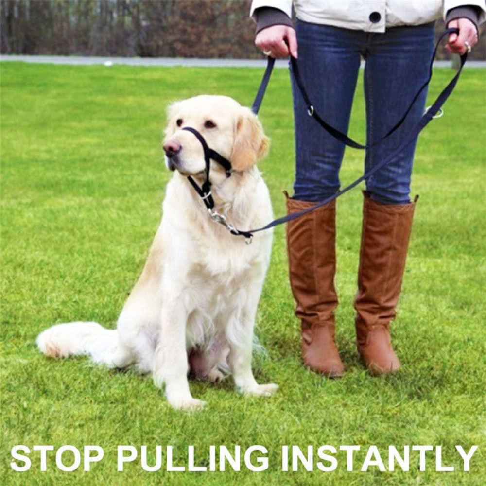 Coleira Respirável para Cães d - No Pull Dog Harness avaliação e preço